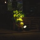 스마트디자인 티스토리