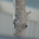 봉곡동007 이미지