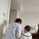 도란도란 북 플레이(19~26개월) | [도쿄여행] D+807 26개월 아기랑 도쿄여행 5일차 하라주쿠 시부야