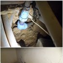 송광약국 이미지