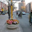 북경의자전거 이미지