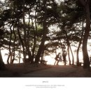 [오산돌잔치] 베네스타 돌잔치 후기글 입니다~