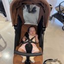 지니하우스 | 부천 베이비하우스 휴대용유모차 와이업 지니에스2 구매 후기