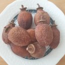 솔밭농원 | 농라 <대둔산솔밭농원> 흑곶감 대용량 1.8kg 후기