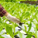 케이에스팜(주) 이미지