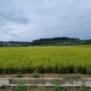 삼봉3리 마을회관 이미지