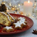 폭스브롯 이미지