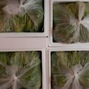 미소농장 이미지