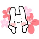 요한목장 이미지