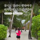 블랙당구장 | 신혼여행] 앙사나 벨라바루 인오션빌라 4일차 후기 단점 포함 - 하우스리프 스노클링, 수중환경, 부대시설