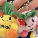 (주)매그닛 이미지