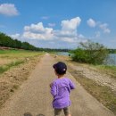 은행나무길카센터 이미지