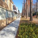 충혼로-1 이미지