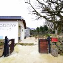 동위민박 이미지