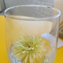 노이마레 이미지