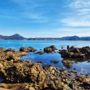 통영생태숲(입구) | 통영의 걷기 좋은 길, 종현산(마파산) 숲길 트레킹