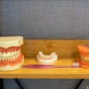 라임프로치과의원 이미지