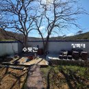 주택약국 Daum카페