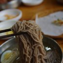 쇠목막국수 티스토리
