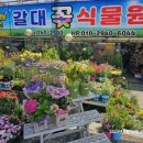 그린꽃식물원 이미지
