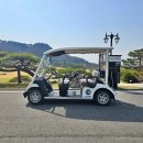 신라컨트리클럽 | 인조 벚꽃장식, 여주 신라컨트리클럽 골프카트 조화시공 후기