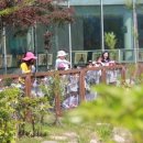 미평초교병설유치원 이미지