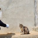 카페;내려주세요