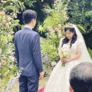 전보미 카카오 검색결과