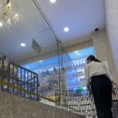 도그마루 강아지 고양이 마포용산점 이미지