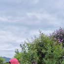 지아 농장 이미지