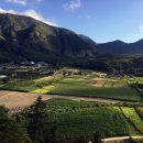 울릉도 알프스 이미지