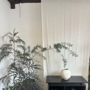 오종종 | 북촌 데이트 코스 추천 (오종종 카페 내돈내산 후기☕️)