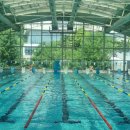 탁구초급 | 가을을 맞이하며 쓰는 글(+생애 첫 학교 축제후기를 곁들인)
