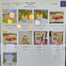 우도팬션별빛결 | 우도 카페, 오션뷰 숙소추천 "뽀요요카페" 땅콩아이스크림이 이렇게나 맛있을 수가...!