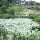 경상북도산림과학박물관 이미지