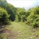 서원면사무소 이미지