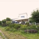 춘천 고양이집 이미지