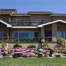 아지랑냉이랑 이미지