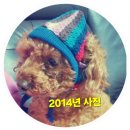 보비동물병원 이미지