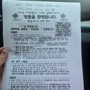 가평글램핑 네잎클로버 카라반 글램핑 내돈내산 솔직후기
