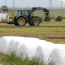 양호축산 이미지