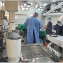 독사랑동물병원 이미지