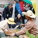 서초구립 도구머리어린이집 이미지