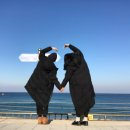 헌화로987 이미지
