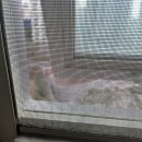 광교에듀타운자이1단지 이미지