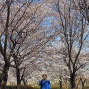 한강시민공원(화훼단지) 이미지