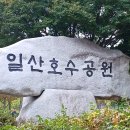 고양 호수공원 가을꽃축제 #1 이미지