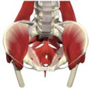 코어짐 피트니스 이미지