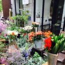 126mansion 이미지