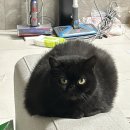 365엠씨(mc)병원 | 4월부터 7월까지 ٩(ˊᗜˋ*)و (흐앙 날라가서 다시 씀 ㅠ ㅠ)